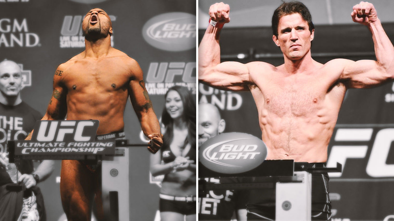 3 WEEKS TO SHREDDED PAPER BOUND BOOK