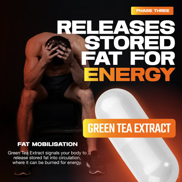 Green Tea Extract